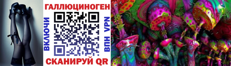 дарнет шоп  Ижевск  Галлюциногенные грибы прущие грибы 