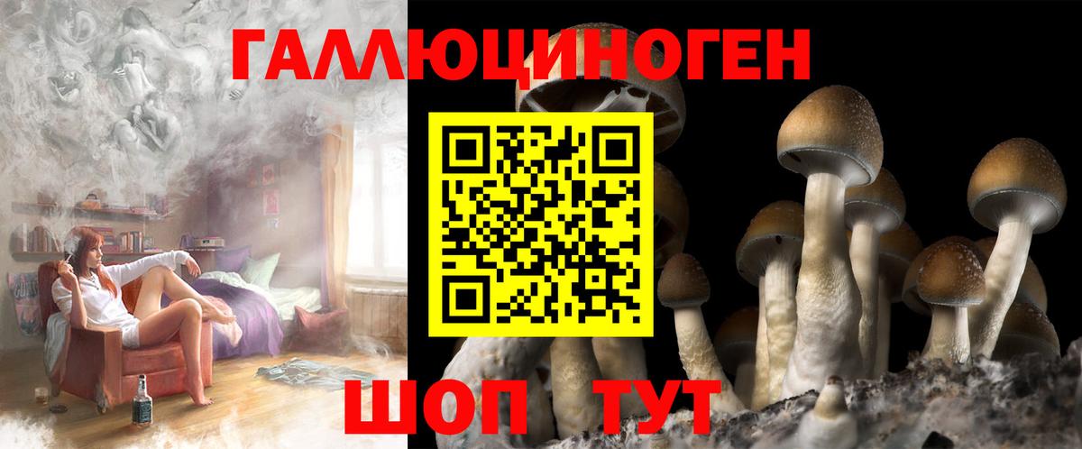 Псилоцибиновые грибы мухоморы  Ижевск  Галлюциногенные грибы GOLDEN TEACHER 