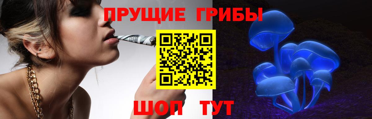 Псилоцибиновые грибы MAGIC MUSHROOMS  Галлюциногенные грибы Cubensis  Вход с VPN  Ижевск 